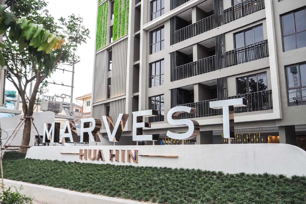 MARVEST HUA HIN